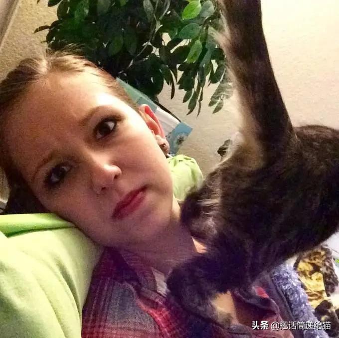 为什么你的猫总在你崩溃时蹭你脸？