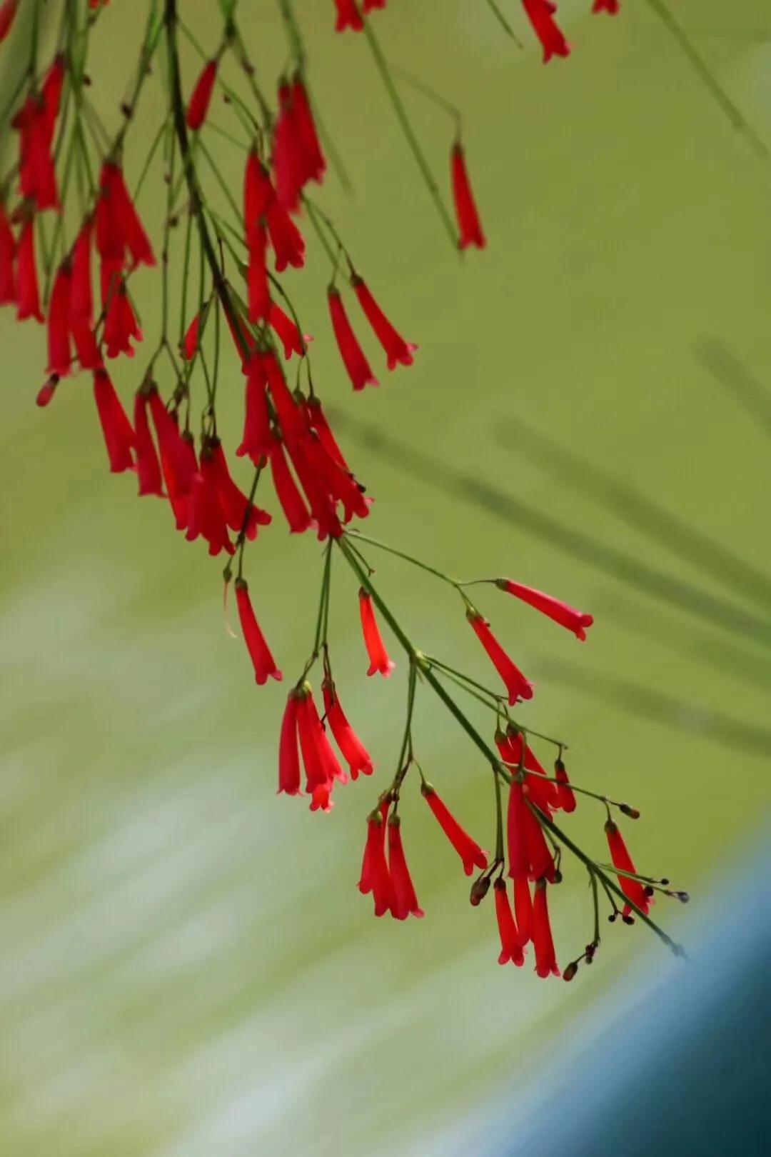 出生时间真能决定你的一辈子吗? 出生时间真能决定你的一辈子吗?