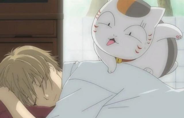 夏目贵志和猫咪老师到底有什么羁绊？