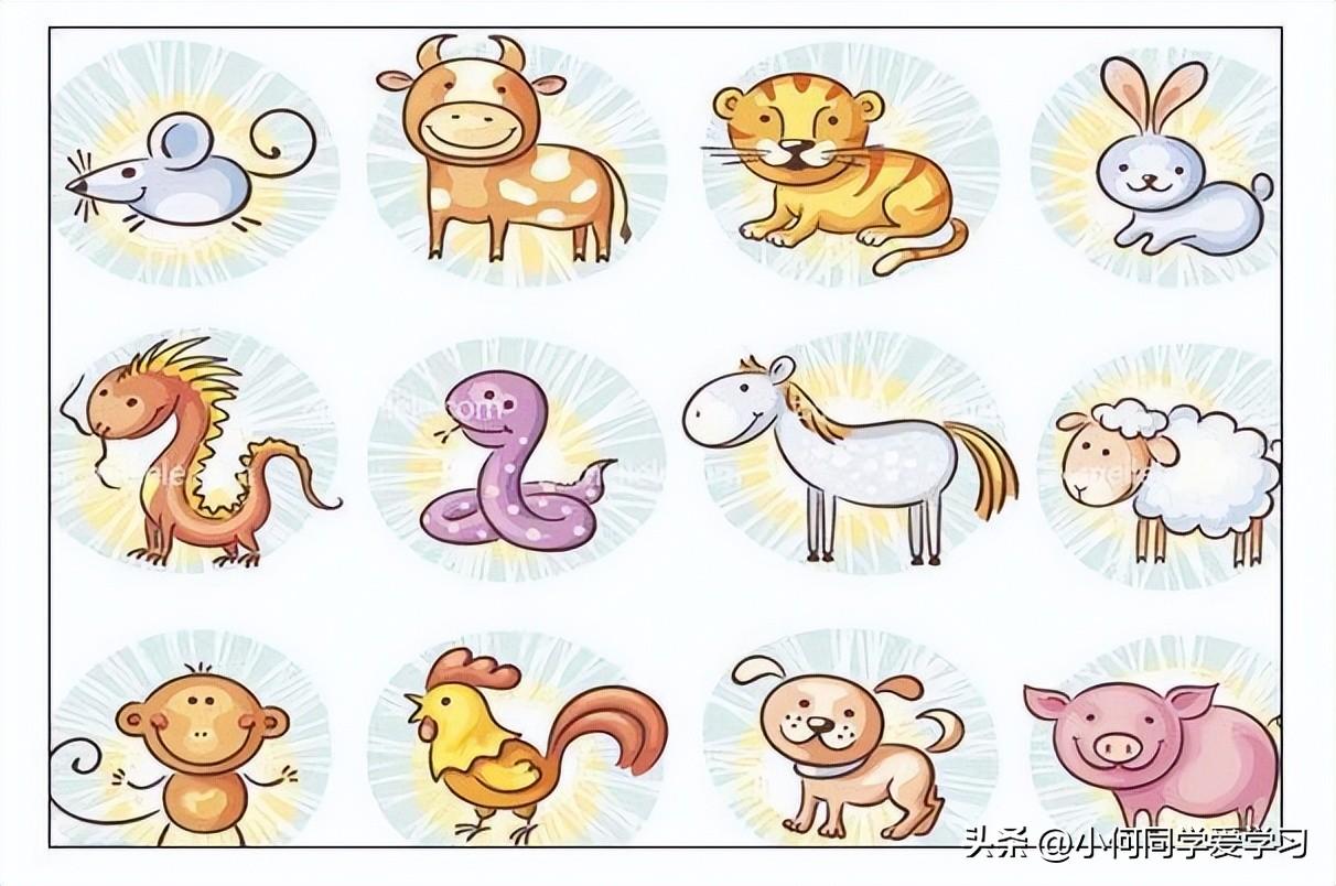 属兔的今年到底怎么算年龄？