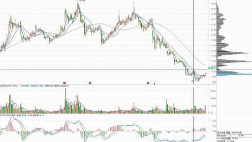 【炒股入门需要了解哪些基本规则】避坑必看!新手炒股入门关键规则汇总 【炒股入门需要了解哪些基本规则】避坑必看!新手炒股入门关键规则汇总