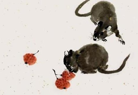 属鼠人2024年真的会咸鱼翻身吗？