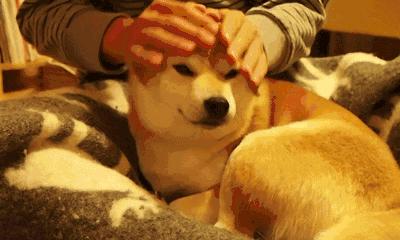 梦见耳朵缺了一角但没伤到它预示什么？3招破解关系困局