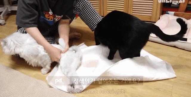 2025法甲巴黎对里昂免费直播 意超杯2024直播