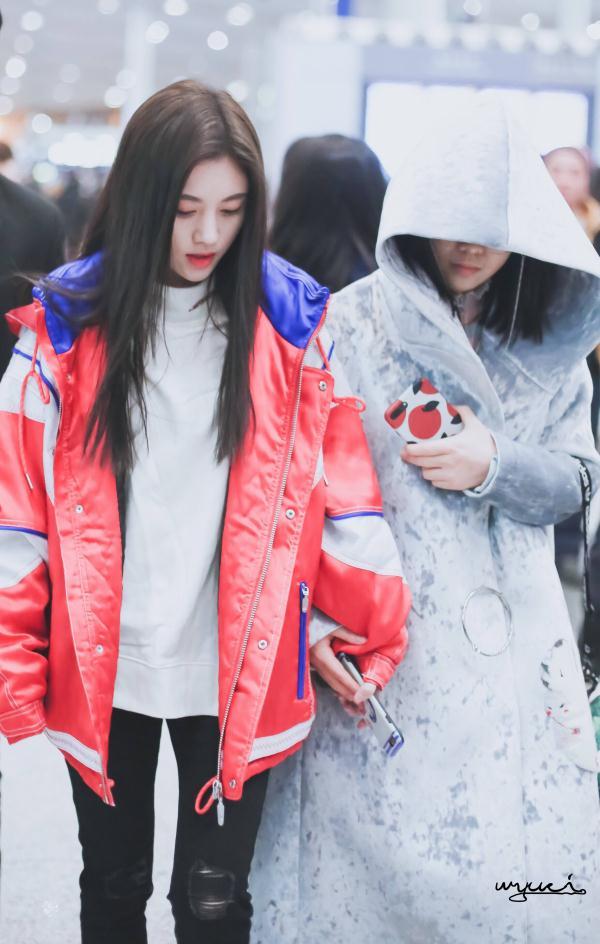 猫咪翻译软件真的能听懂主子说话吗？