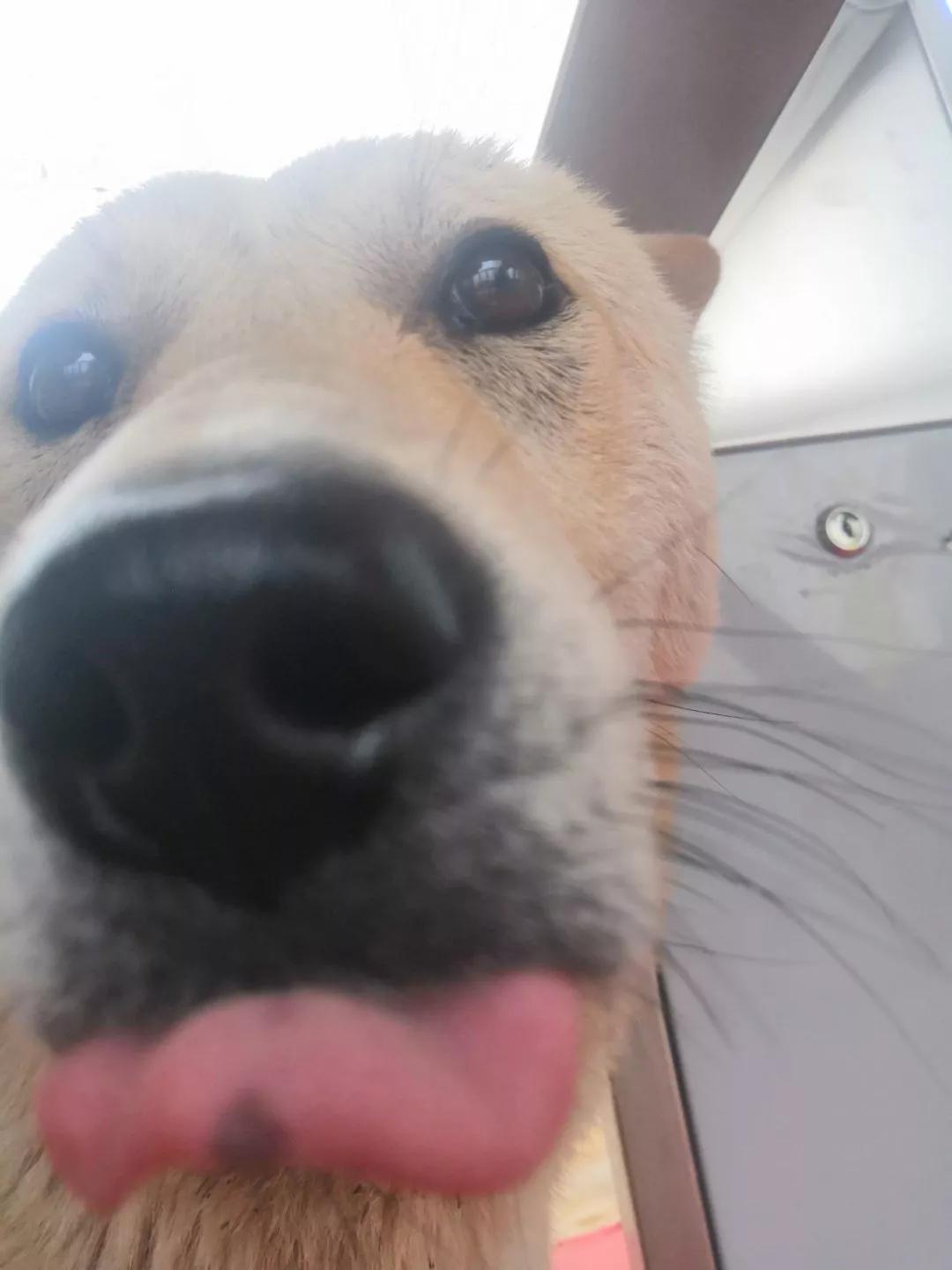 梦见算命是老天爷在暗示什么？