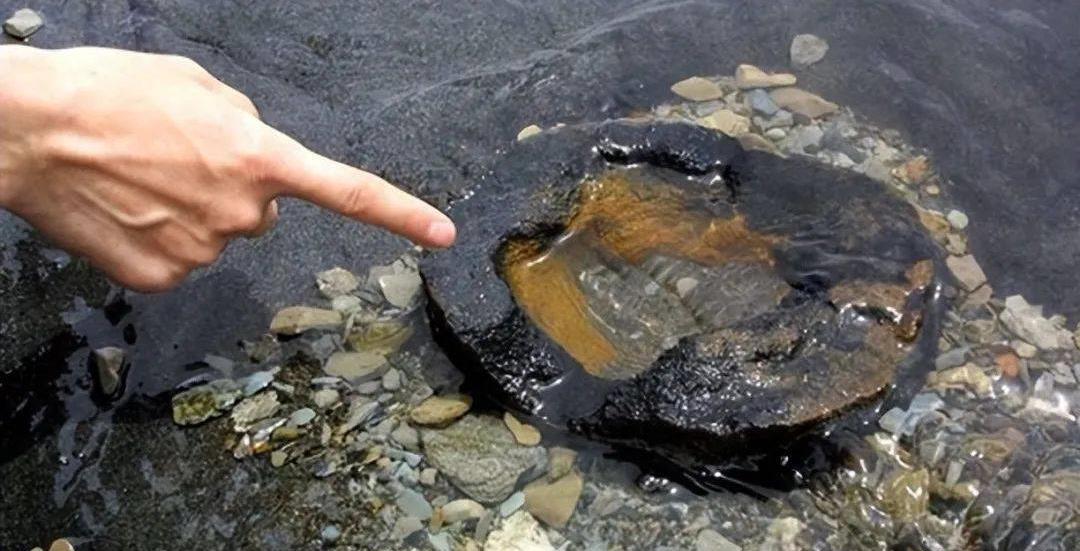 足球场变成人间地狱?海瑟尔惨案到底发生了什么? 足球场变成人间地狱?海瑟尔惨案到底发生了什么?