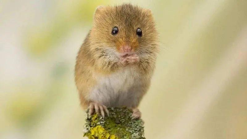 Enam Hal Penting yang Perlu Kamu Ketahui sebelum Bermain Mesin Slot