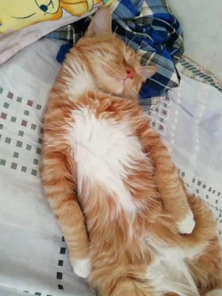 为什么每次抽塔罗牌都抽到死神? 为什么每次抽塔罗牌都抽到死神?