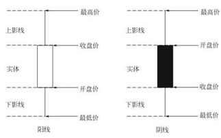 k线图怎么分析入门？从基础到进阶一步步教你分析k线新手也能学会看盘