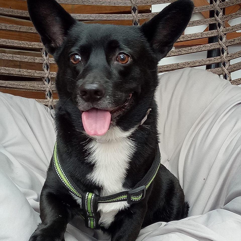 梦见鼻子一直出血预示什么？2025年三大隐喻与化解指南