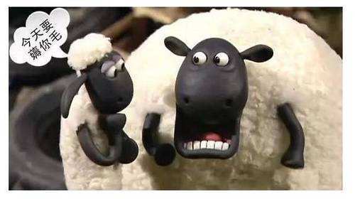 薅羊毛什么意思？通俗解释看这里