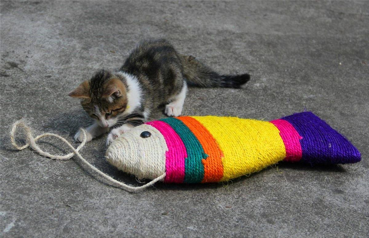 猫咪反胃怎么办？新手必看的急救指南