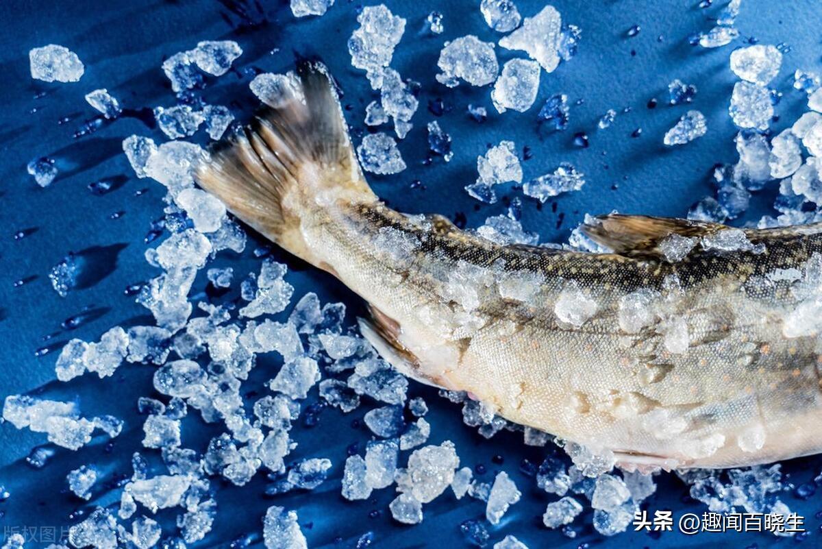 2025年梦见记者拍照片预警:3大人生转折点解析 2025年梦见记者拍照片预警:3大人生转折点解析