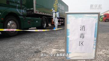 梅西的兄弟们为啥总能在关键时刻拉他一把? 梅西的兄弟们为啥总能在关键时刻拉他一把?