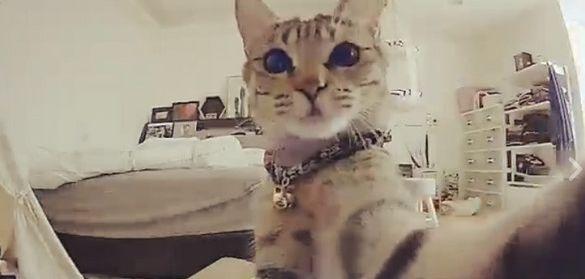 别克新君越论坛到底该怎么玩转？新手必看攻略