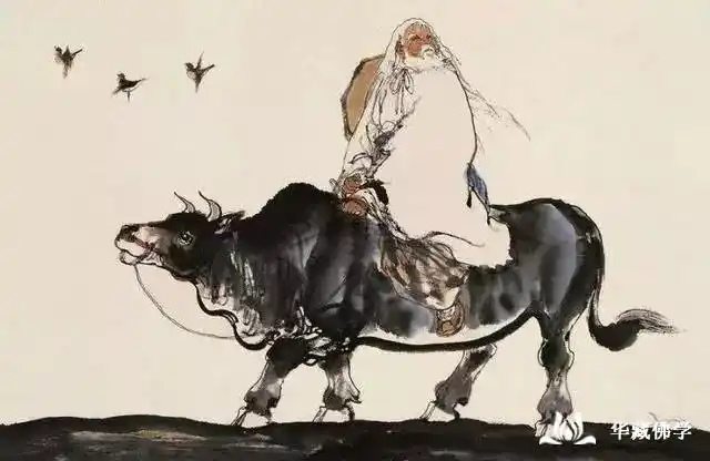 道家文化介绍_儒家文化积极进取_道家文化遵循规律