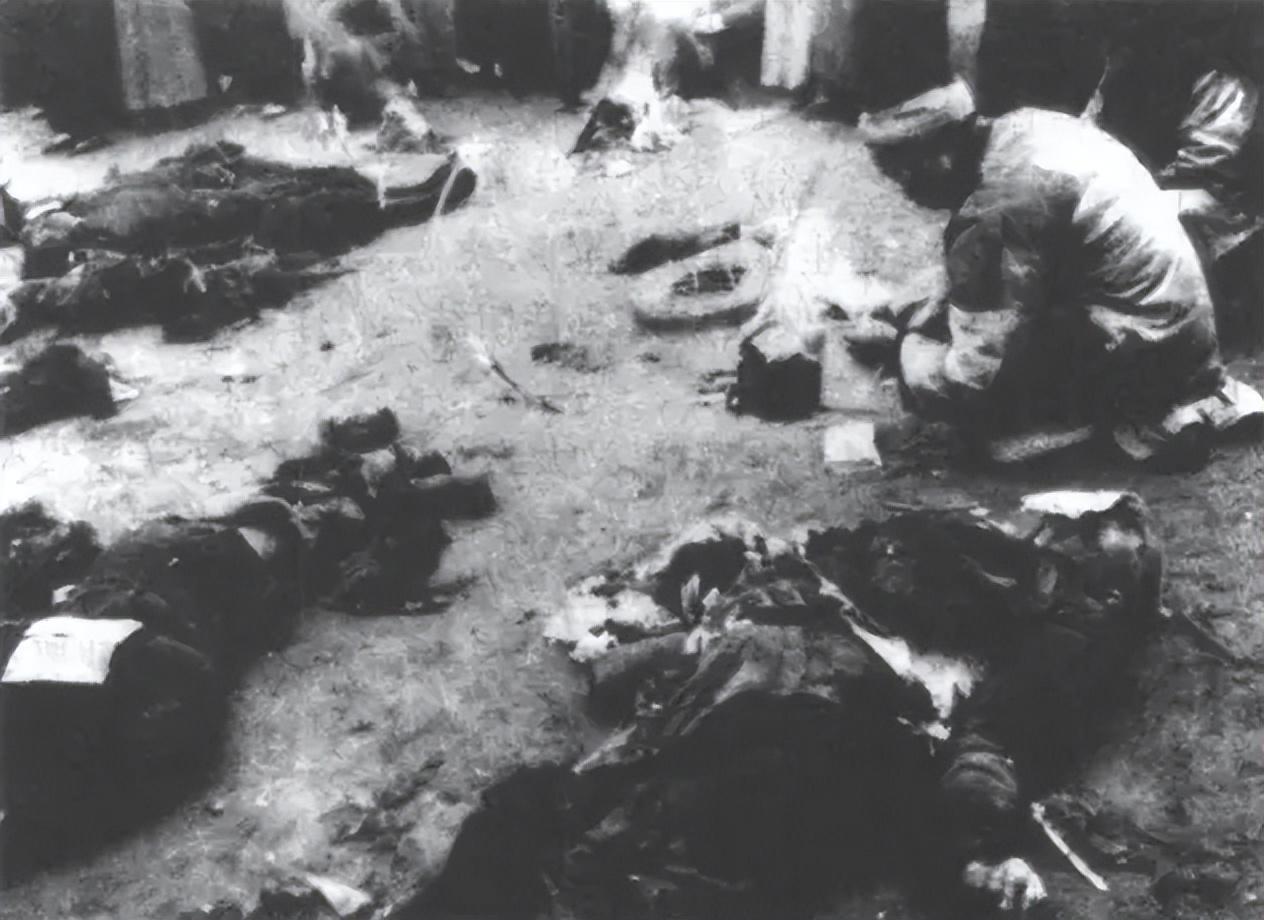 重庆大轰炸教学课件_平顶山惨案真相解析