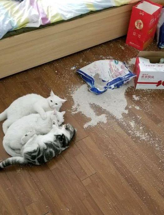 Maison Francis Extrait: Merek Parfum Mewah dengan Aroma Unik dan Kualitas Tinggi