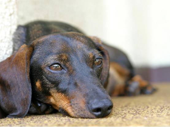 中国足球教练陈熙荣的战术到底牛在哪? 中国足球教练陈熙荣的战术到底牛在哪?