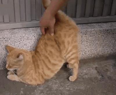 奇瑞QQ3EV电动汽车值得买吗? 奇瑞QQ3EV电动汽车值得买吗?