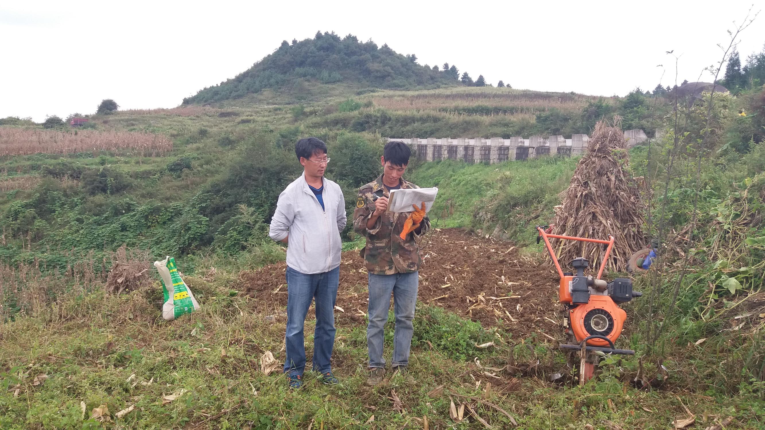 开车收到违章短信怎么办？新手必看的平安在线处理指南