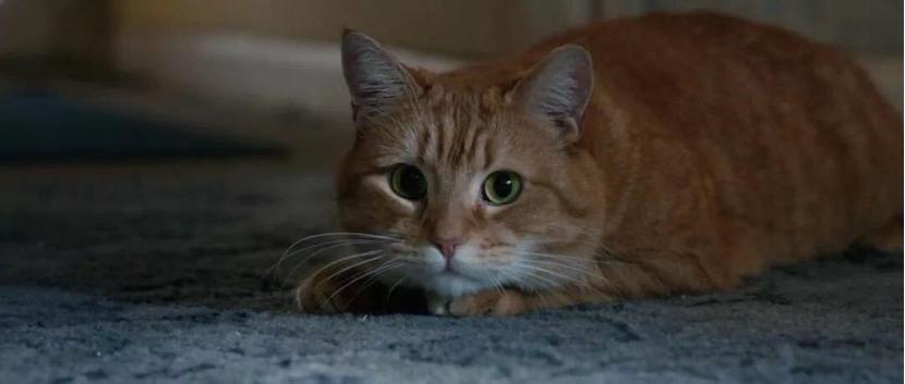 2025年梦见别人死亡全解：财富密码与危机预警术