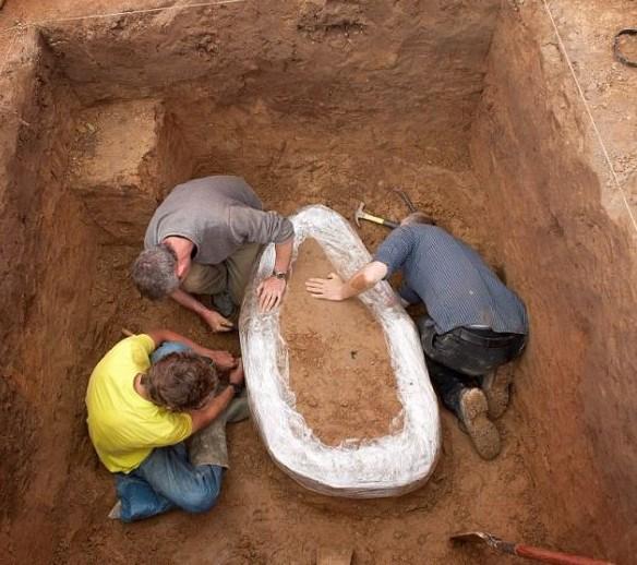 英国华人论坛视频到底藏着哪些宝藏? 英国华人论坛视频到底藏着哪些宝藏?