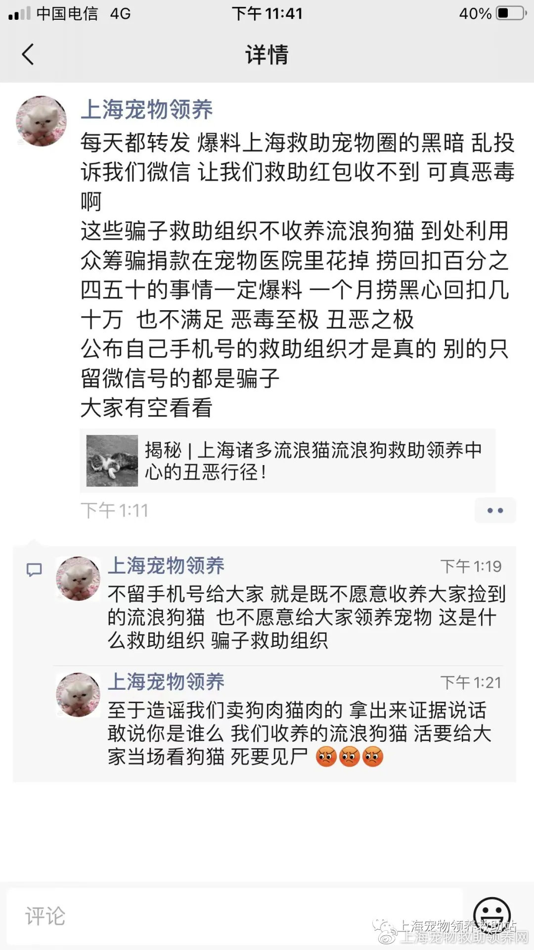 在上海领养猫咪真的那么难吗？