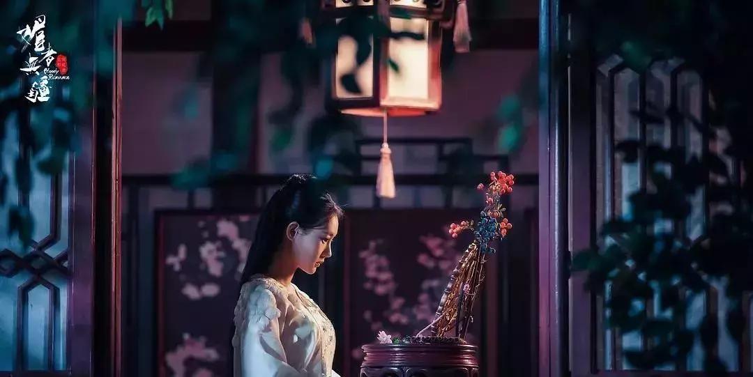 猫主子为啥总想逃离温暖的家？