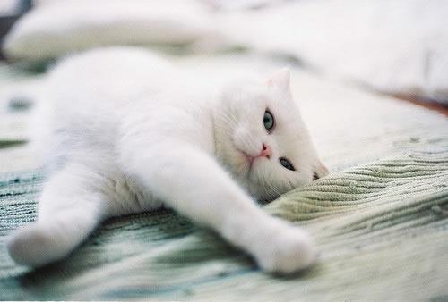 为什么新手玩费雷尔总是开局三分钟就暴毙？