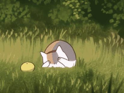 用夏目友人帐猫咪头像会暴露宅属性吗？