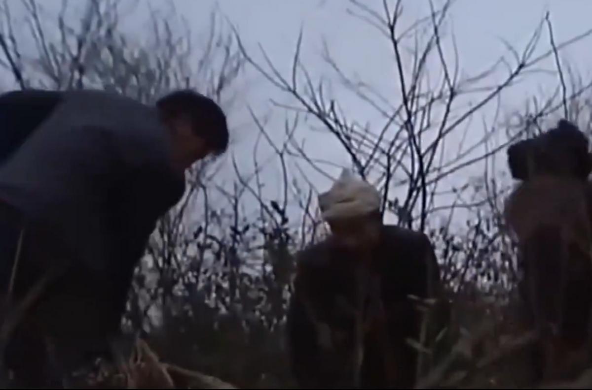 梦见坟墓真的会倒大霉吗？