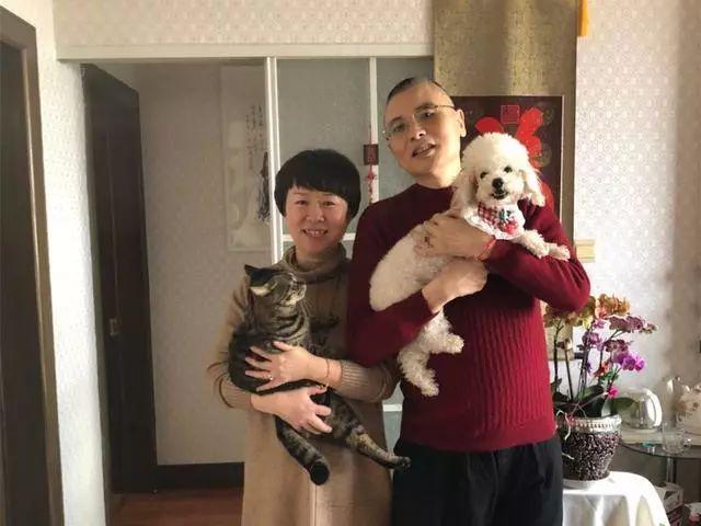 猫主子肚子鼓鼓的是怀了几胎？