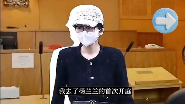 澳洲华人杨兰兰身份是什么保释金真相与身份背景解析