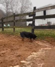 什么是淘宝托管代运营呢？靠谱专业的淘宝代运营公司有哪些？