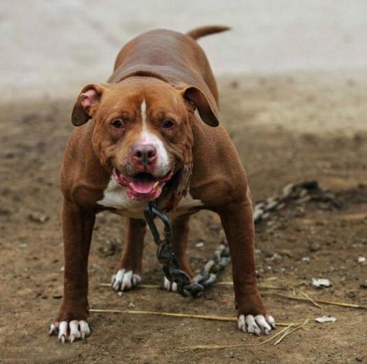 变态杀人狂为什么总能成为经典反派？