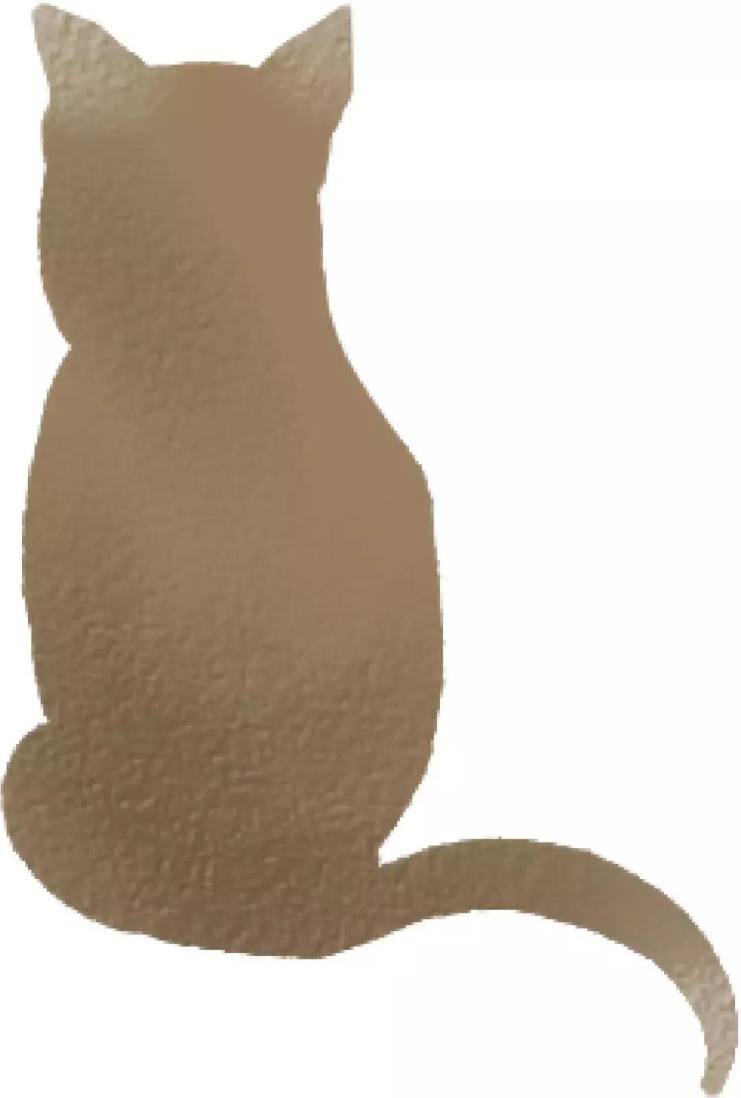 猫咪嘴巴总有一股鱼腥味是怎么回事？