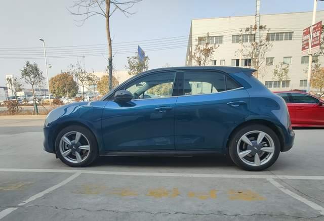 猫肚子什么时候会鼓起来？