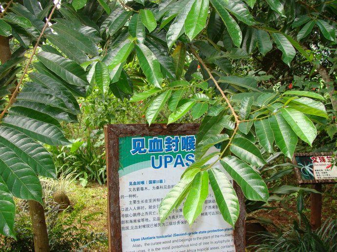 广东2个城市，常年居住大量印度人，网友：印度人真会挑地方