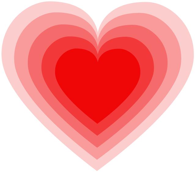 在成都领养猫咪到底有多少坑要躲？