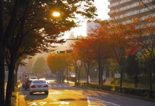 日本华人富豪榜前十位图片_日本富豪数量减少原因_日本富豪福布斯排名