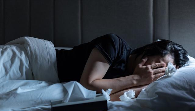 梦是属于_梦的解释是真的吗_梦是意思