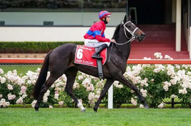 在墨尔本混华人圈不上论坛会错过多少秘密？