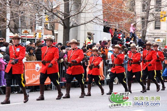 加拿大生活全天分享QQ群