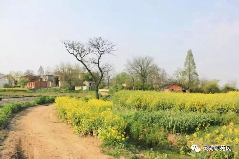 梦见梳头发预示要交好运还是霉运缠身？