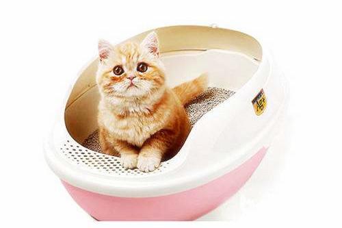 为什么你的队伍总缺个靠谱坦克？阿切尔比使用全攻略