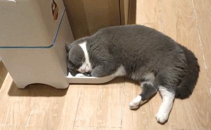 Baccarat Mille Nuits Flutissimo: Produk Parfum Terkenal dan Populer di Kalangan Pecinta Parfum