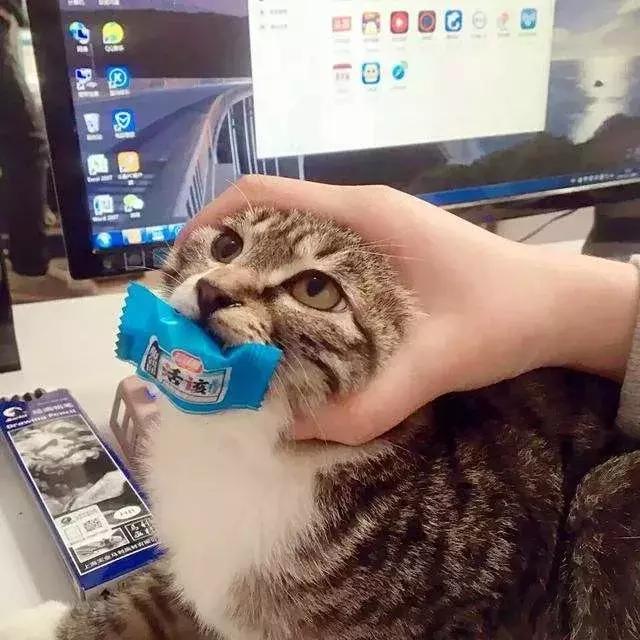 唯渡科技App不能提现怎么办-网上做单平台被骗充值提现不了如何追回 