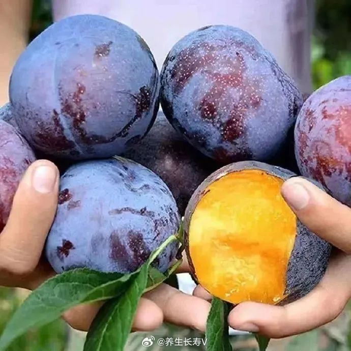 布林的功效与作用有哪些?医生告诉你这些好处,日常吃很有益处呀 布林的功效与作用有哪些?医生告诉你这些好处,日常吃很有益处呀